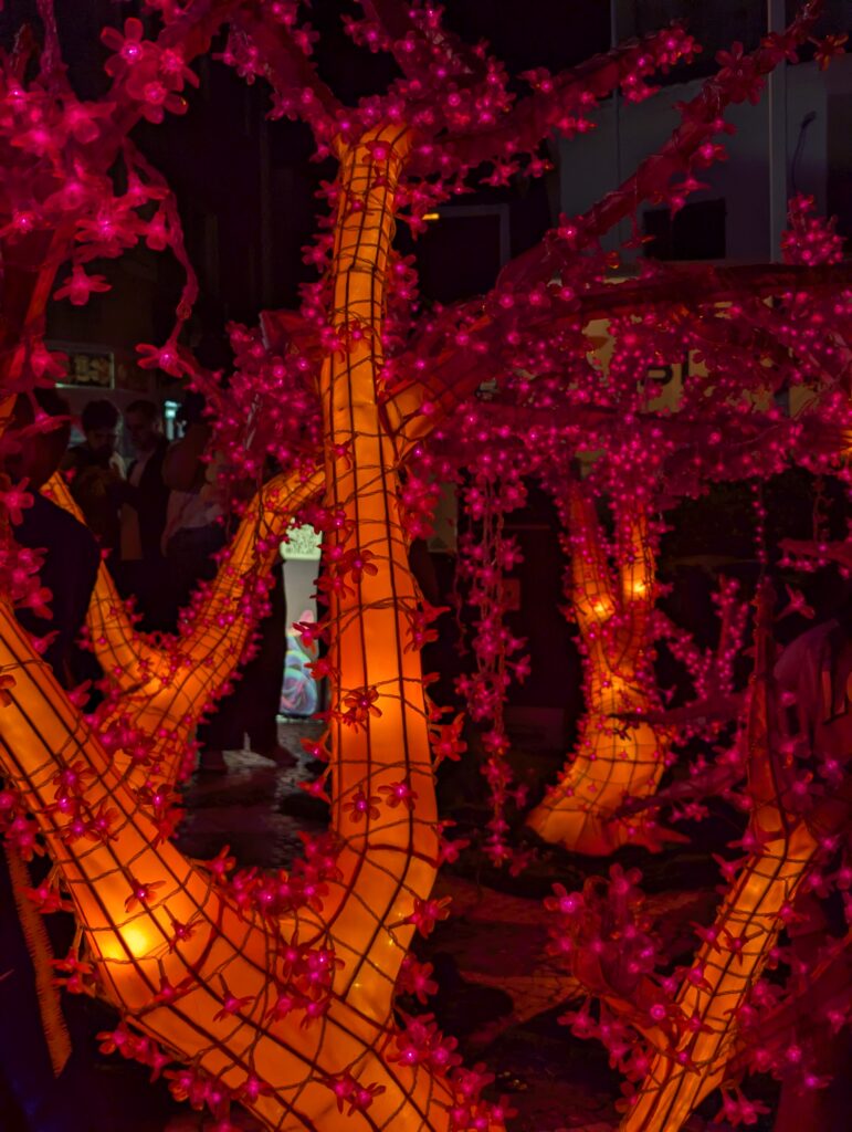 Light Gardens - Rua Direito