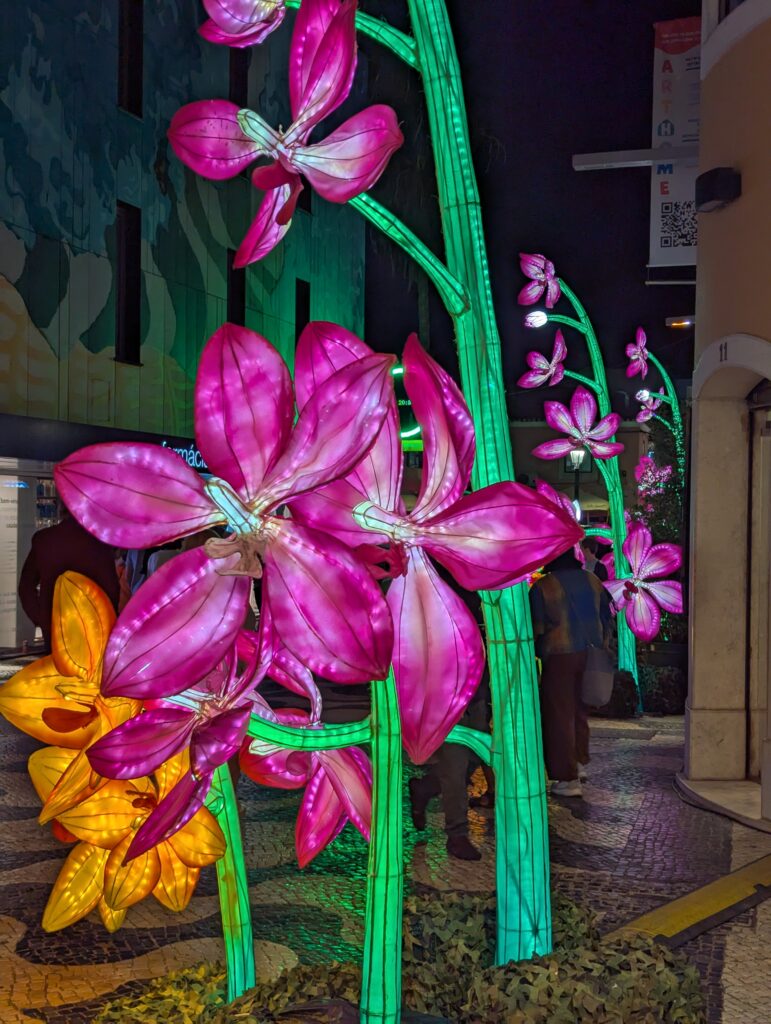 flores com luz