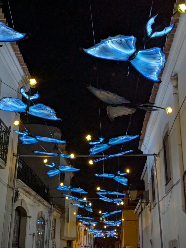 the butterfly are shining, lightfixtures from a lightfestival